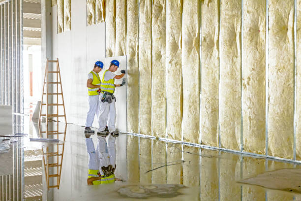 Best Commercial Insulation in Scotia, NY